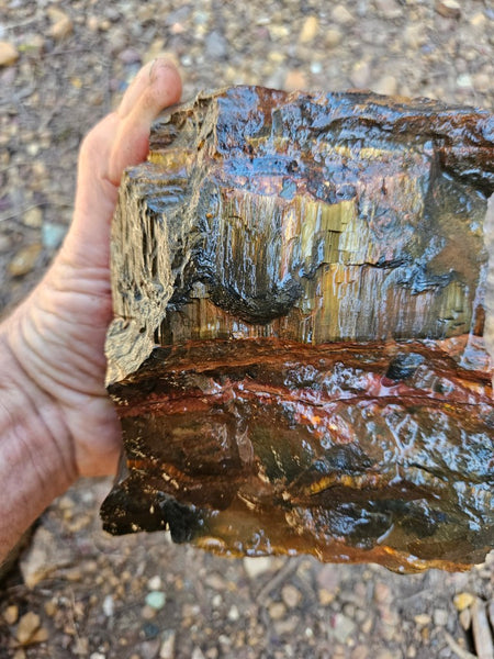 Marra Mamba Tiger Eye rough rock TER106