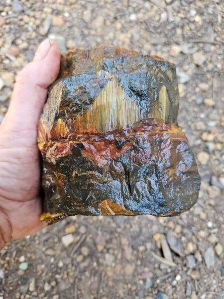 Marra Mamba Tiger Eye rough rock TER106