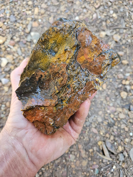 Marra Mamba Tiger Eye rough rock TER106