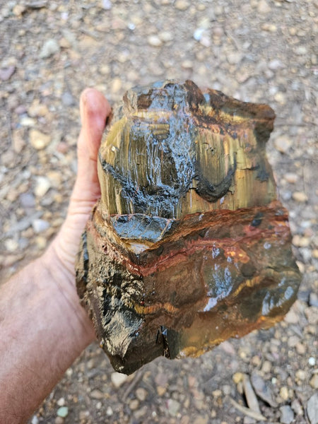 Marra Mamba Tiger Eye rough rock TER106