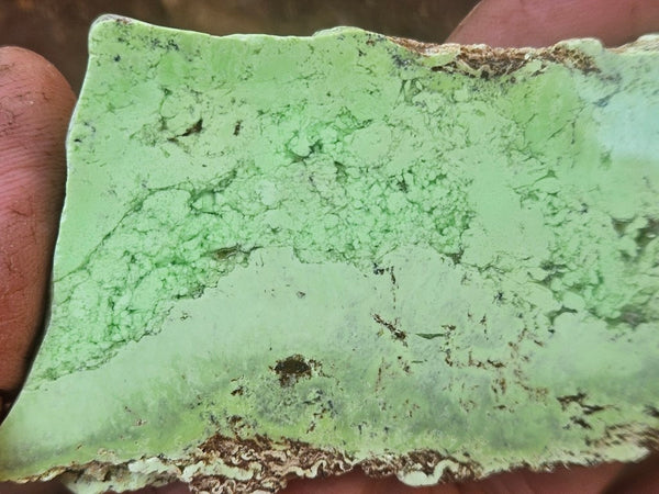 Polished Magnesite slab. MAP232