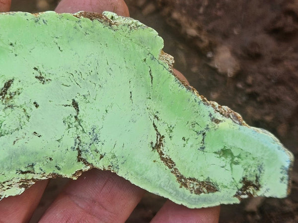 Polished Magnesite slab. MAP232