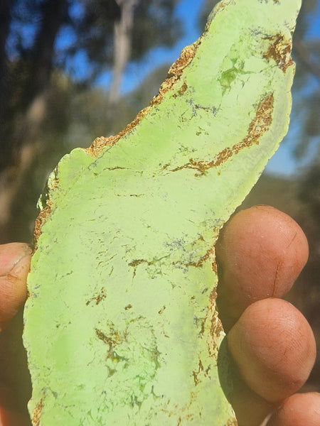 Polished Magnesite slab. MAP232