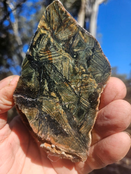Polished Komatiite slab KOM113