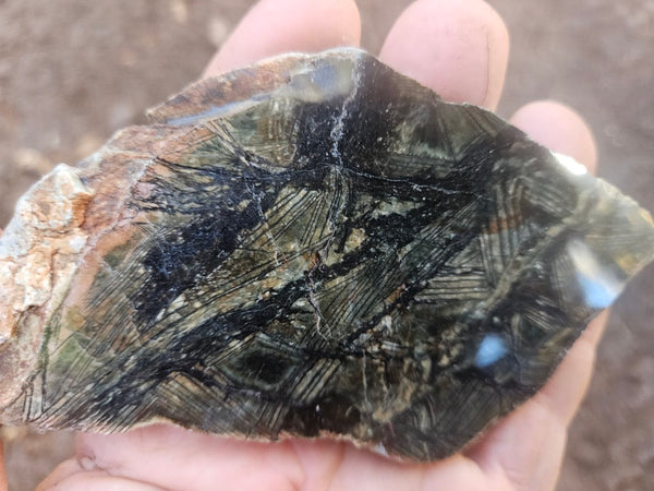 Polished Komatiite slab KOM113