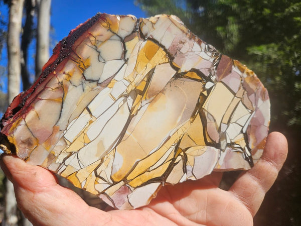 Polished Brecciated Mookaite slab BM346