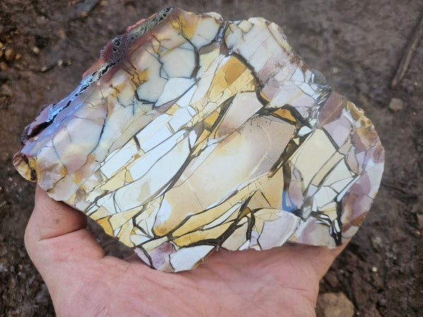 Polished Brecciated Mookaite slab BM346