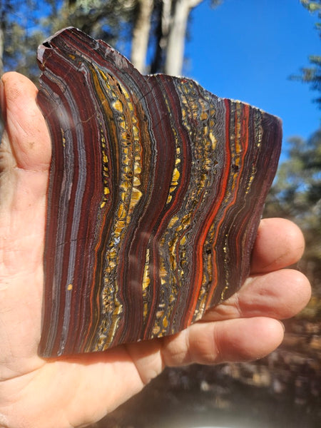 Polished Tiger Iron slab TI422