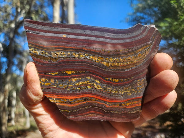 Polished Tiger Iron slab TI422