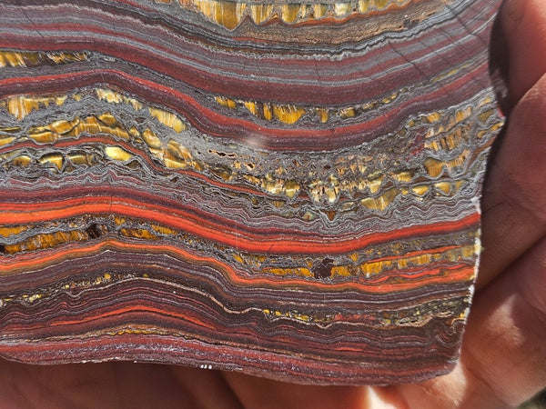 Polished Tiger Iron slab TI422