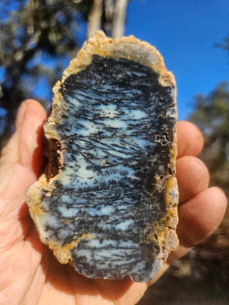 Polished Dendritic Opal DO247