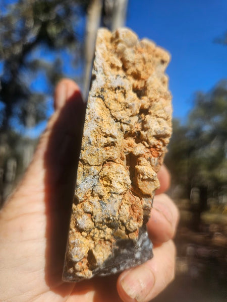 Polished Dendritic Opal DO247