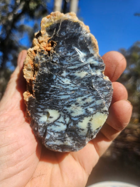 Polished Dendritic Opal DO247