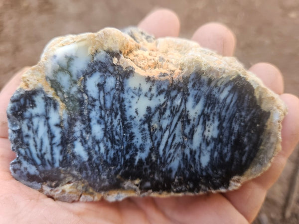 Polished Dendritic Opal DO247