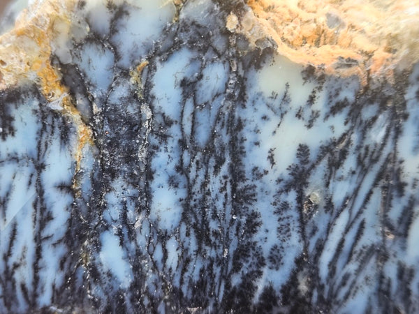 Polished Dendritic Opal DO247