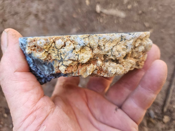 Polished Dendritic Opal DO247