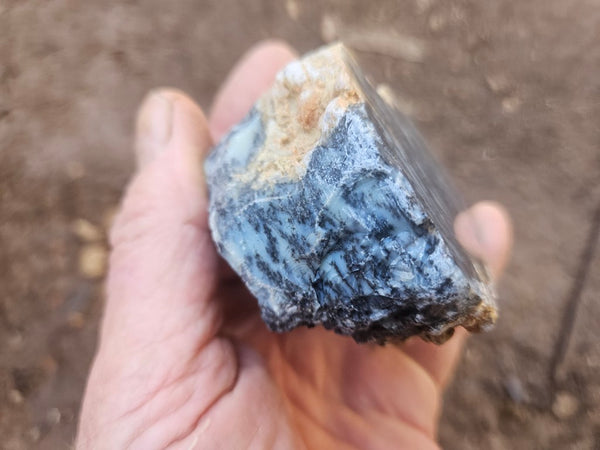 Polished Dendritic Opal DO247