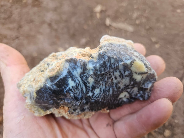 Polished Dendritic Opal DO247