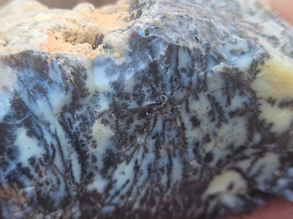 Polished Dendritic Opal DO247