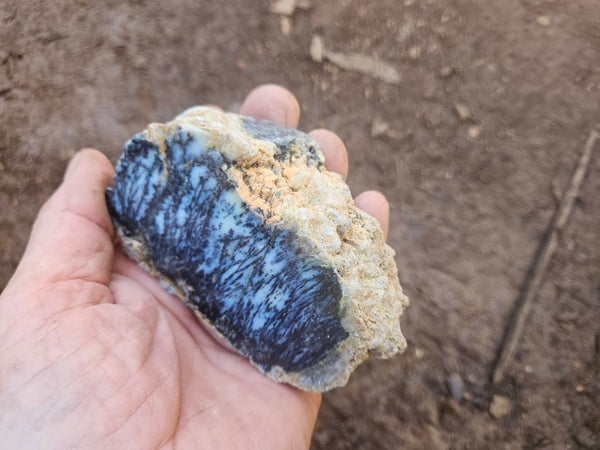 Polished Dendritic Opal DO247