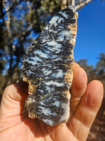 Polished Dendritic Opal DO248
