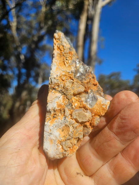 Polished Dendritic Opal DO248