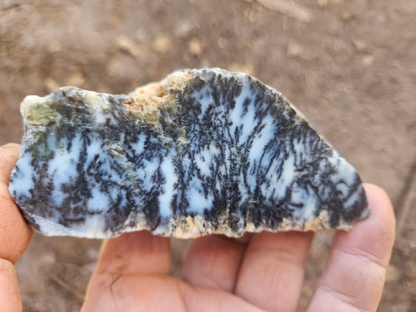 Polished Dendritic Opal DO248