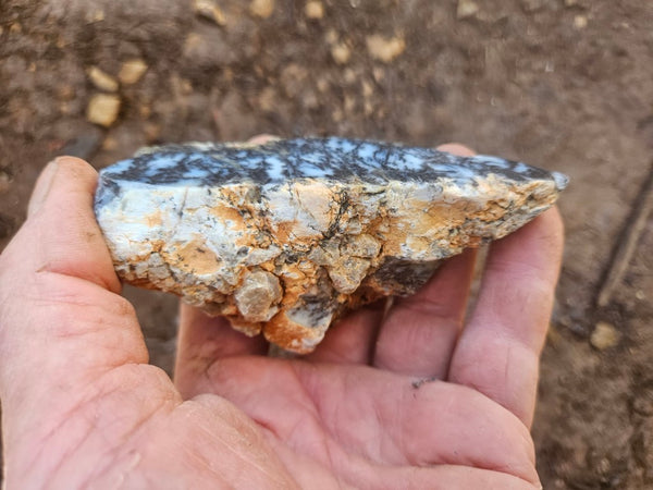 Polished Dendritic Opal DO248