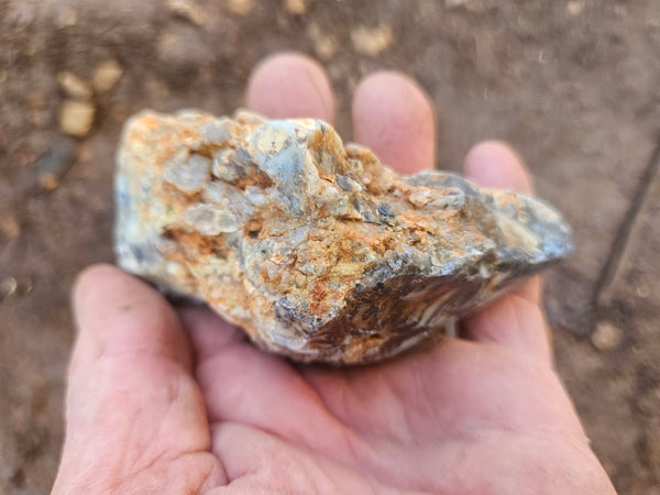 Polished Dendritic Opal DO248