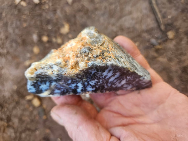 Polished Dendritic Opal DO248