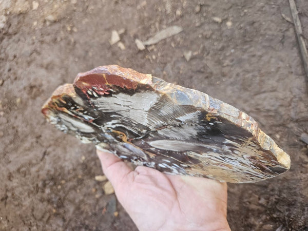 Polished Peanut Wood slab PW363