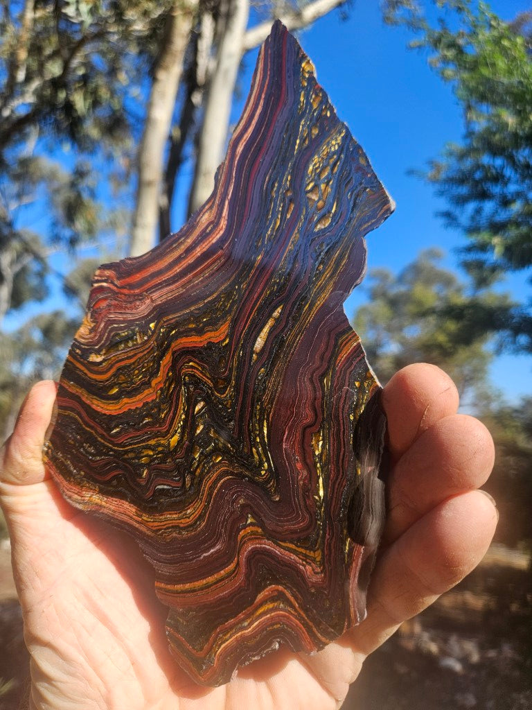 Polished Tiger Iron slab TI423