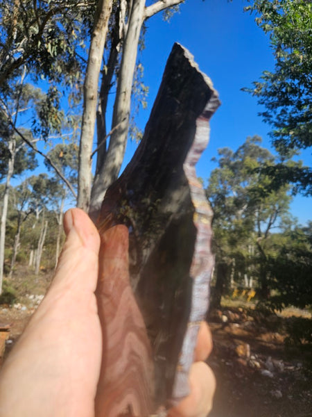 Polished Tiger Iron slab TI423
