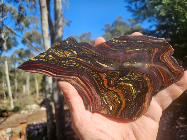 Polished Tiger Iron slab TI423