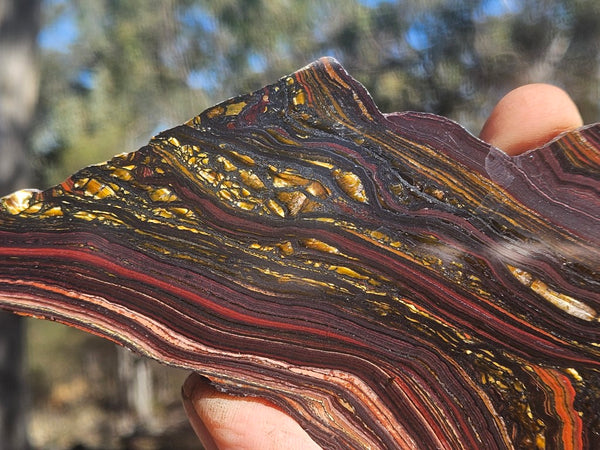 Polished Tiger Iron slab TI423