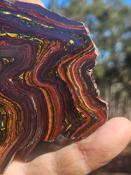 Polished Tiger Iron slab TI423