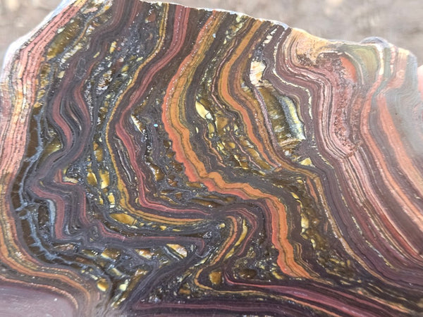 Polished Tiger Iron slab TI423