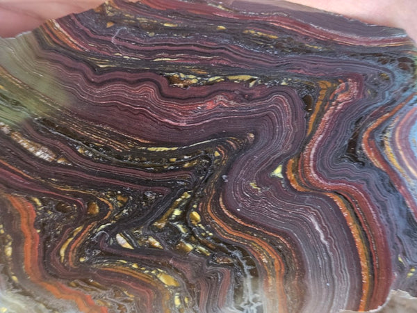 Polished Tiger Iron slab TI423