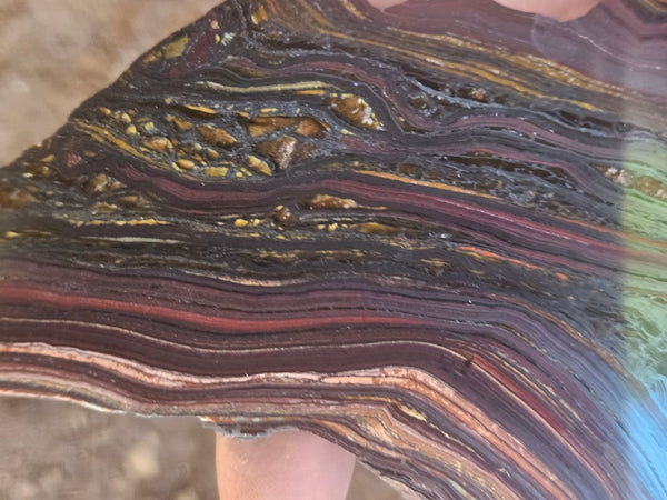 Polished Tiger Iron slab TI423