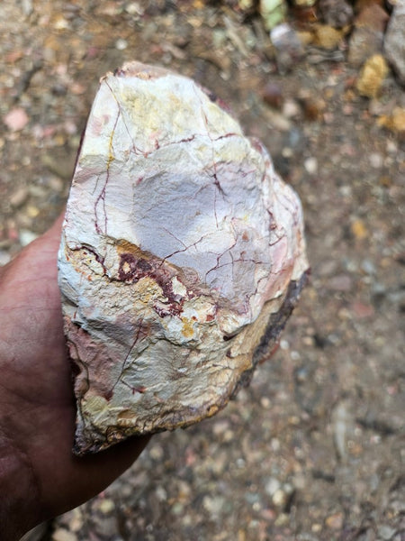 Mookaite rough.  MKR 313