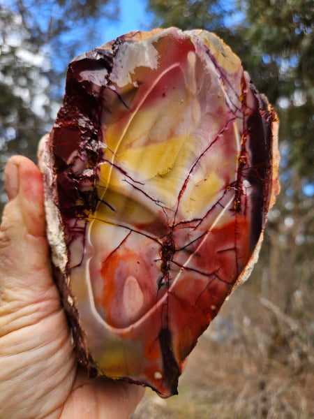 Mookaite rough.  MKR 313