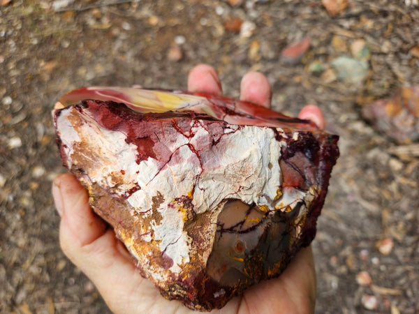 Mookaite rough.  MKR 313
