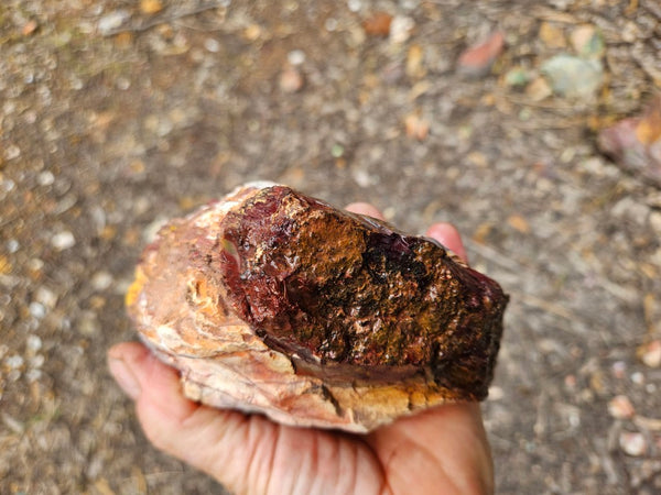 Mookaite rough.  MKR 313