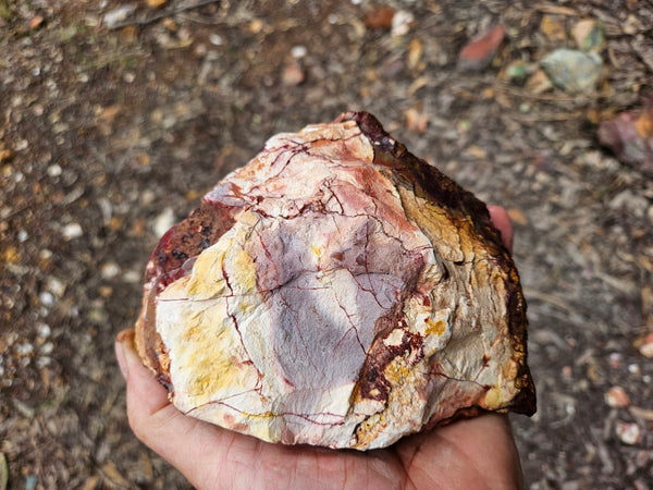 Mookaite rough.  MKR 313