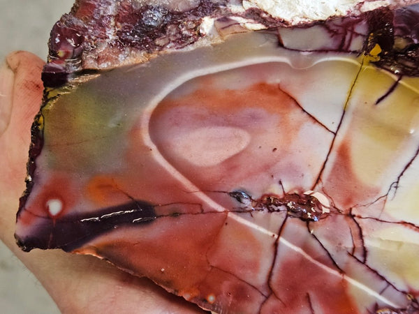 Mookaite rough.  MKR 313