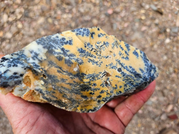 Dendritic Opal  rough.  DOR287