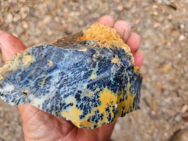 Dendritic Opal  rough.  DOR287