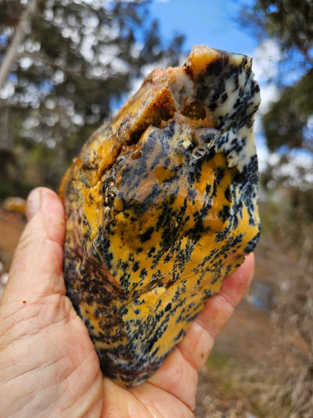 Dendritic Opal  rough.  DOR287