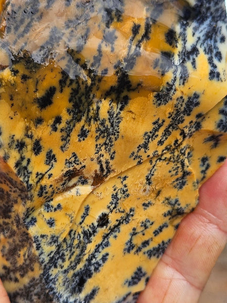Dendritic Opal  rough.  DOR287