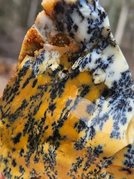 Dendritic Opal  rough.  DOR287